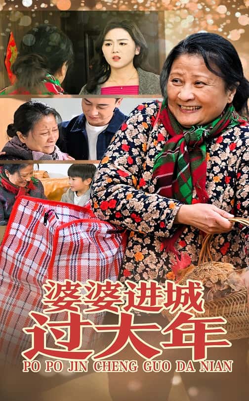 婆婆进城