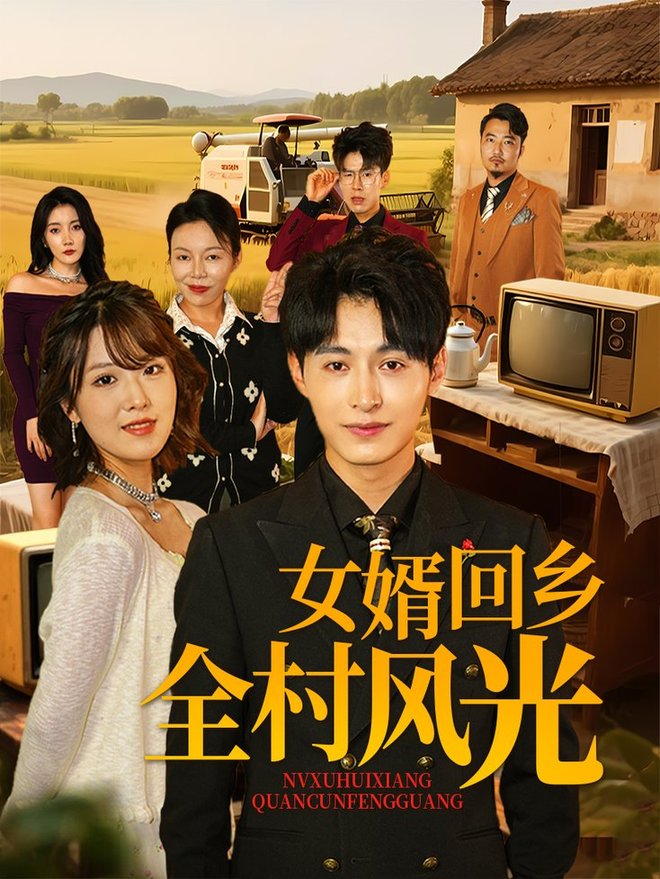 女婿回乡