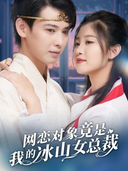 我的冰山女总裁