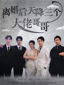 離婚後天降三個大佬哥哥