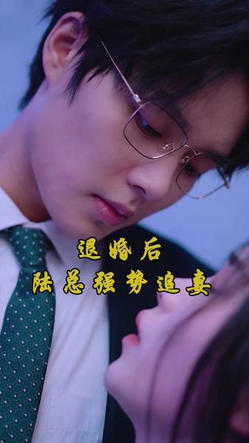 悔婚后，我变成陆总的心尖宠