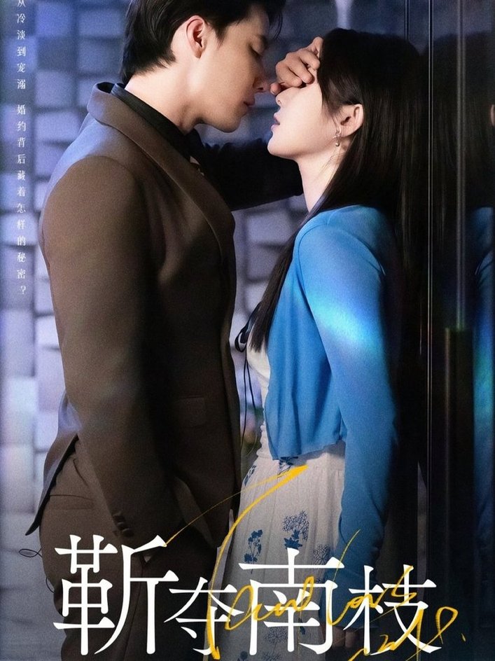靳夺南枝＆甜欲肆吻