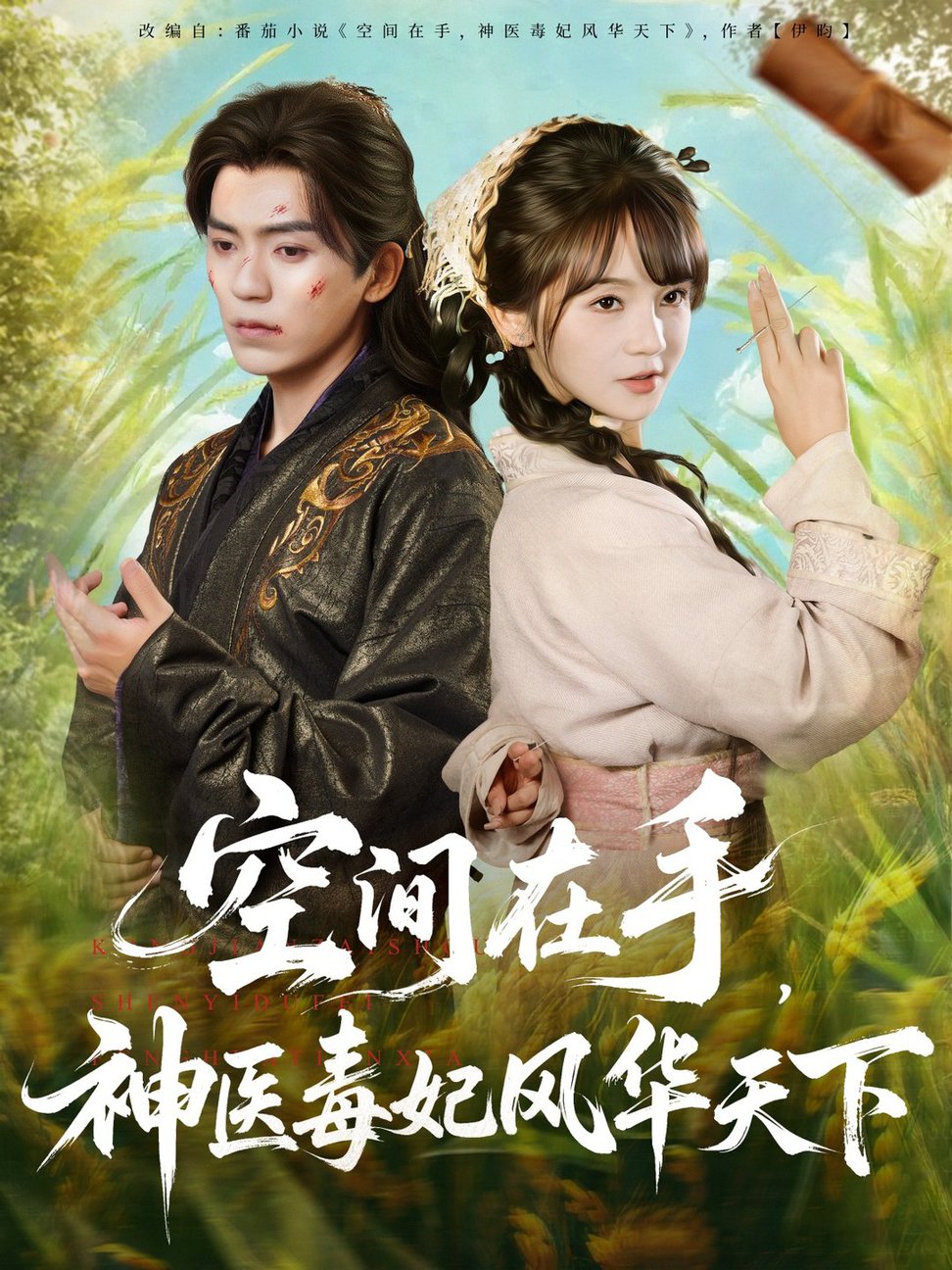 空間在手，神醫毒妃風華天下