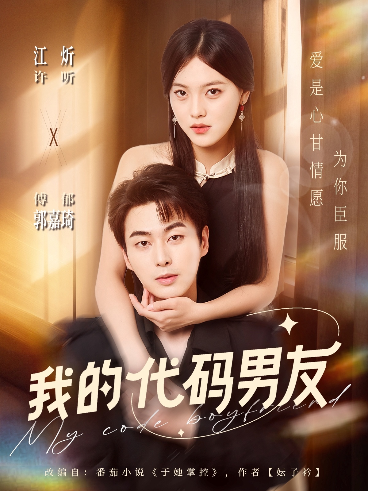 我的代碼男友